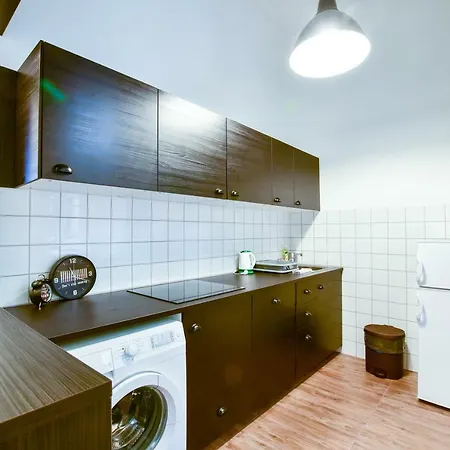 Rakoczi In The City Centre Apartment